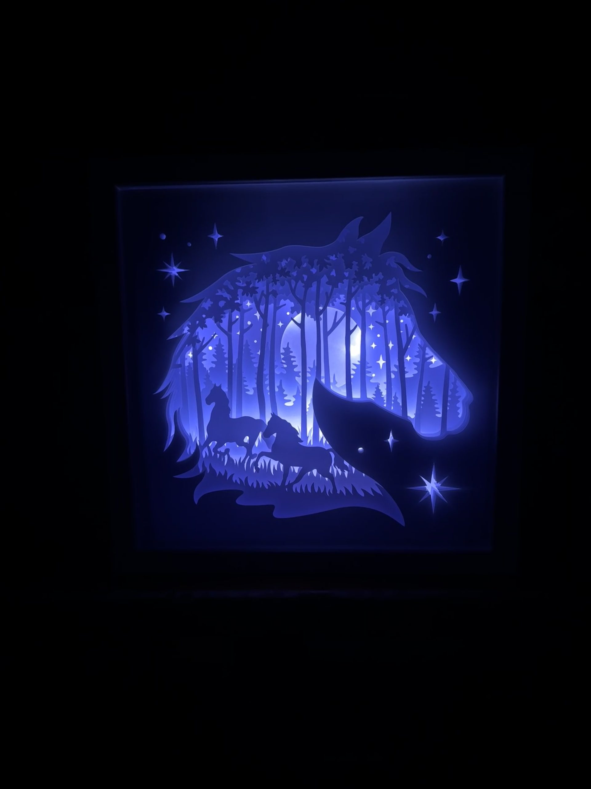 Cadre Lumineux - Chevaux