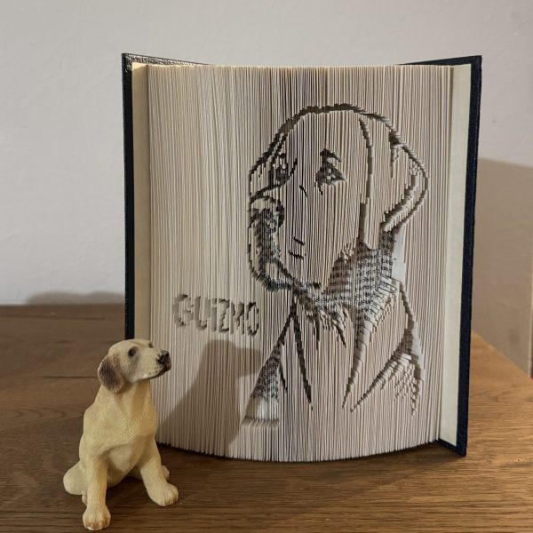 Chien Guizmo